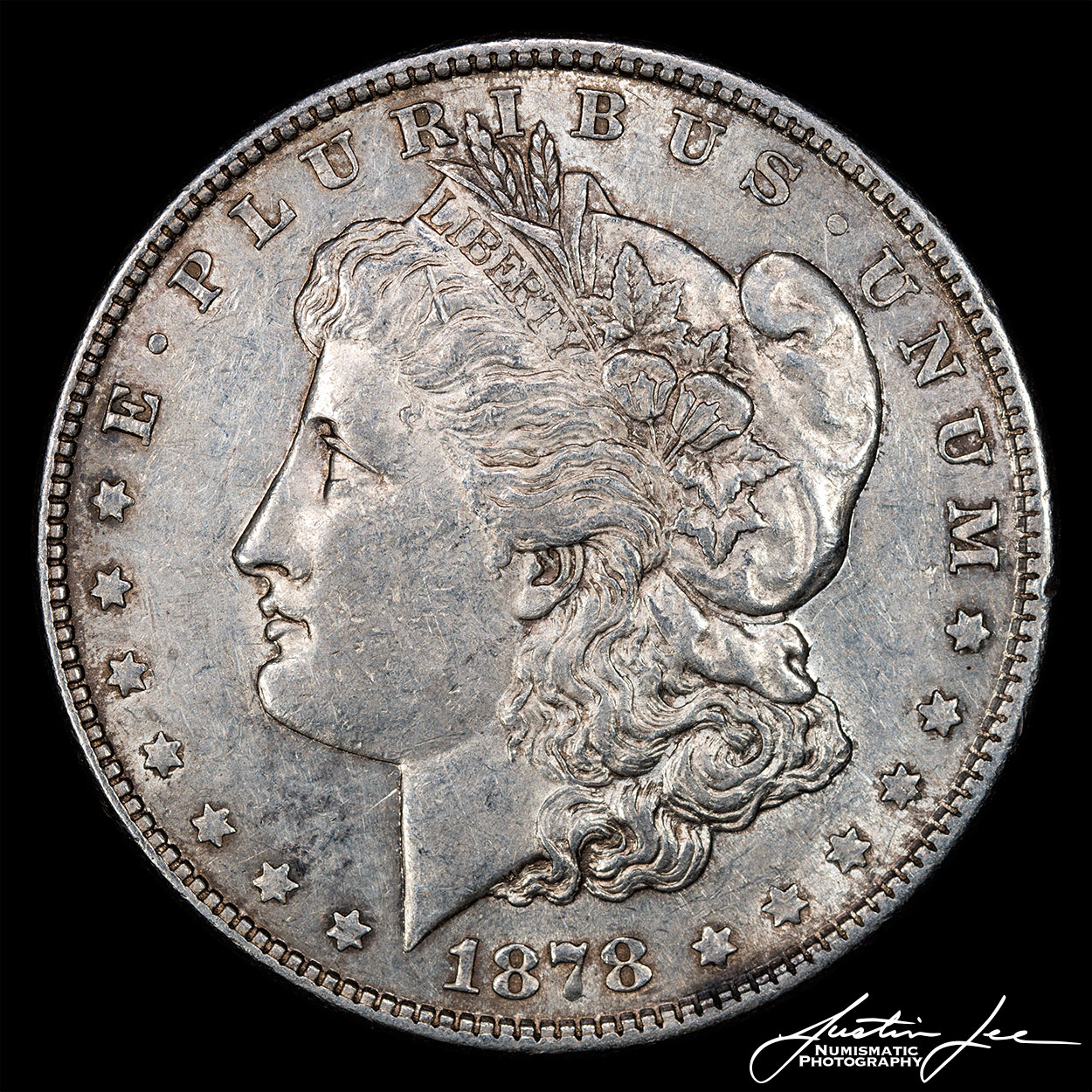 1878-Morgan-Dollar-8TF-Obverse.jpg
