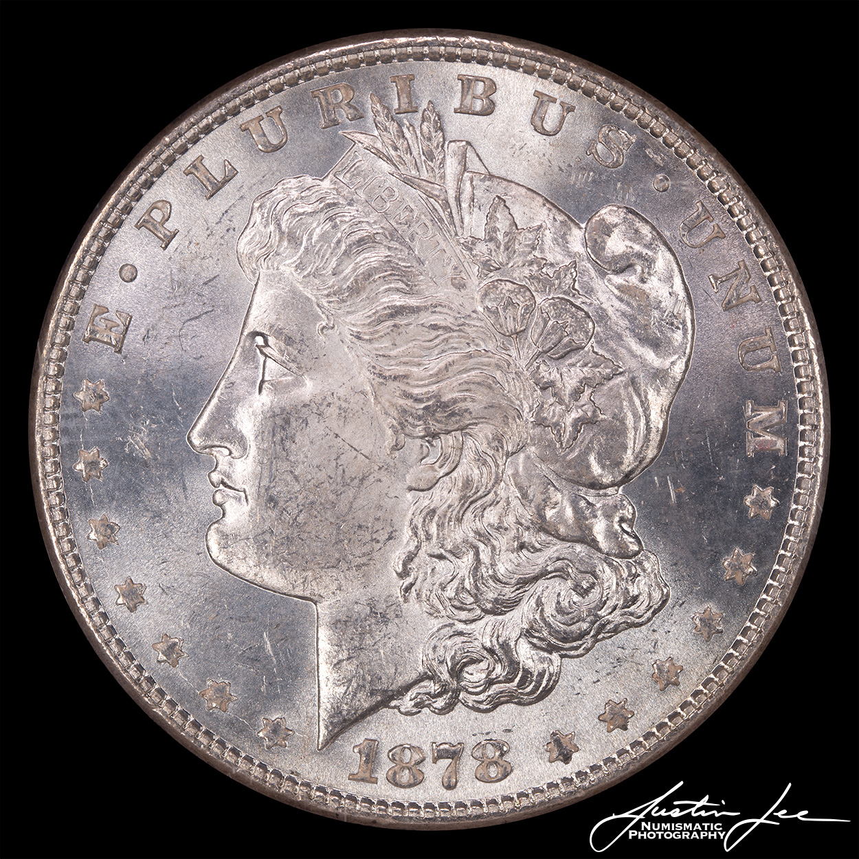 1878-Morgan-Dollar-8TF-Obverse.jpg