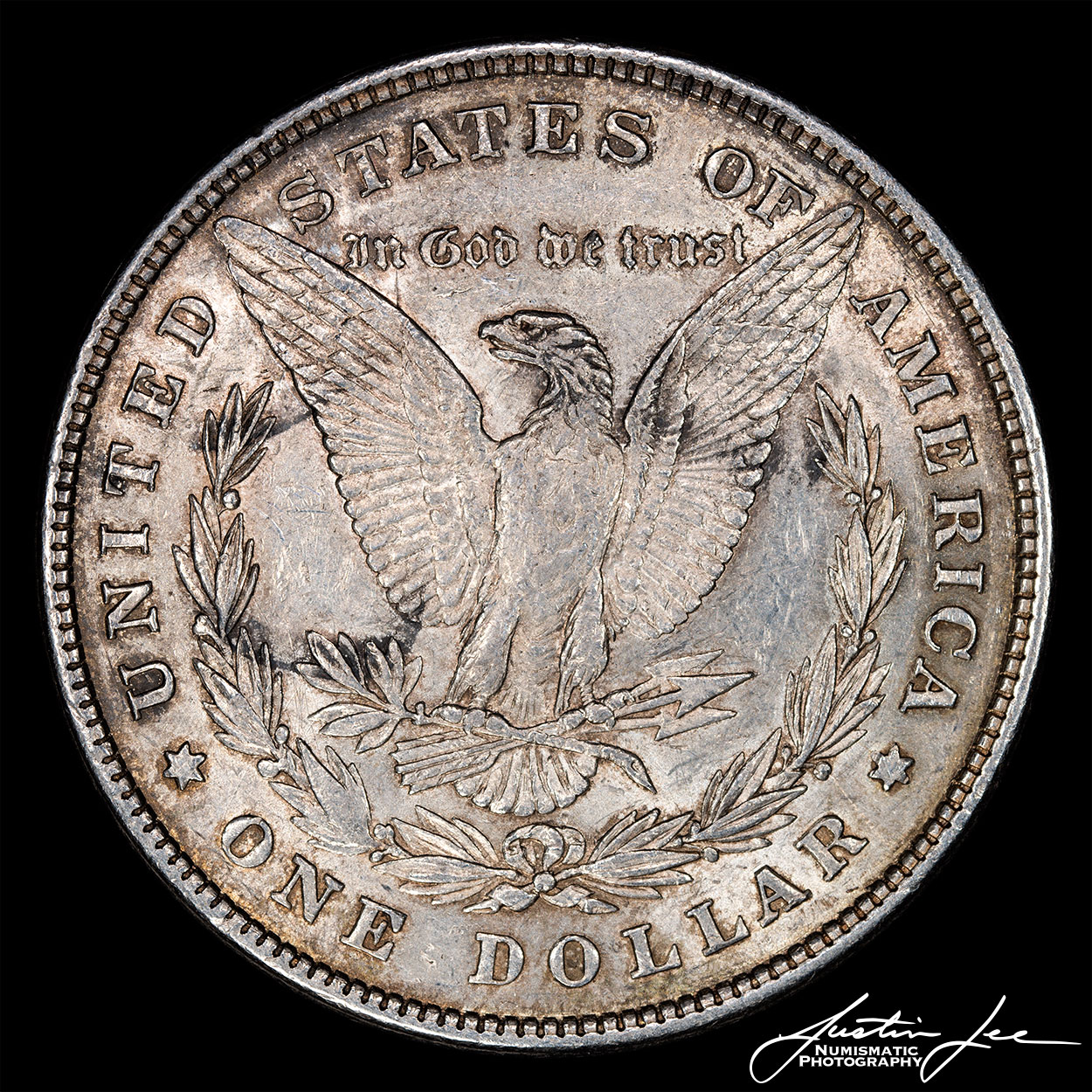 1878 8TF Morgan | Coin Talk