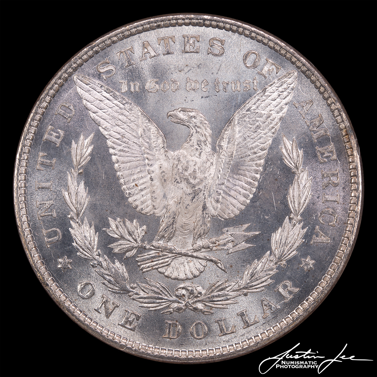 1878-Morgan-Dollar-8TF-Reverse.jpg