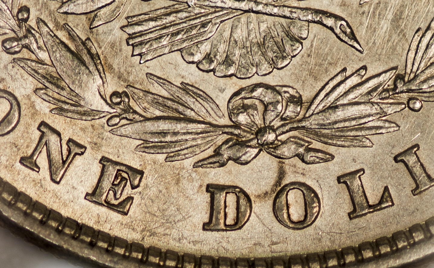 1878 Morgan Dollar - ONE DOLLAR.jpg