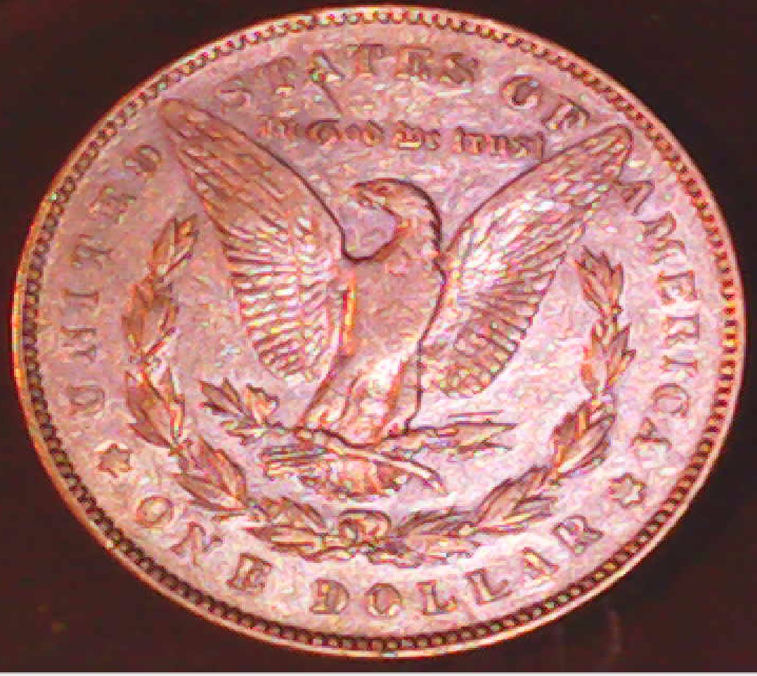1878 Morgan Reverse.jpg
