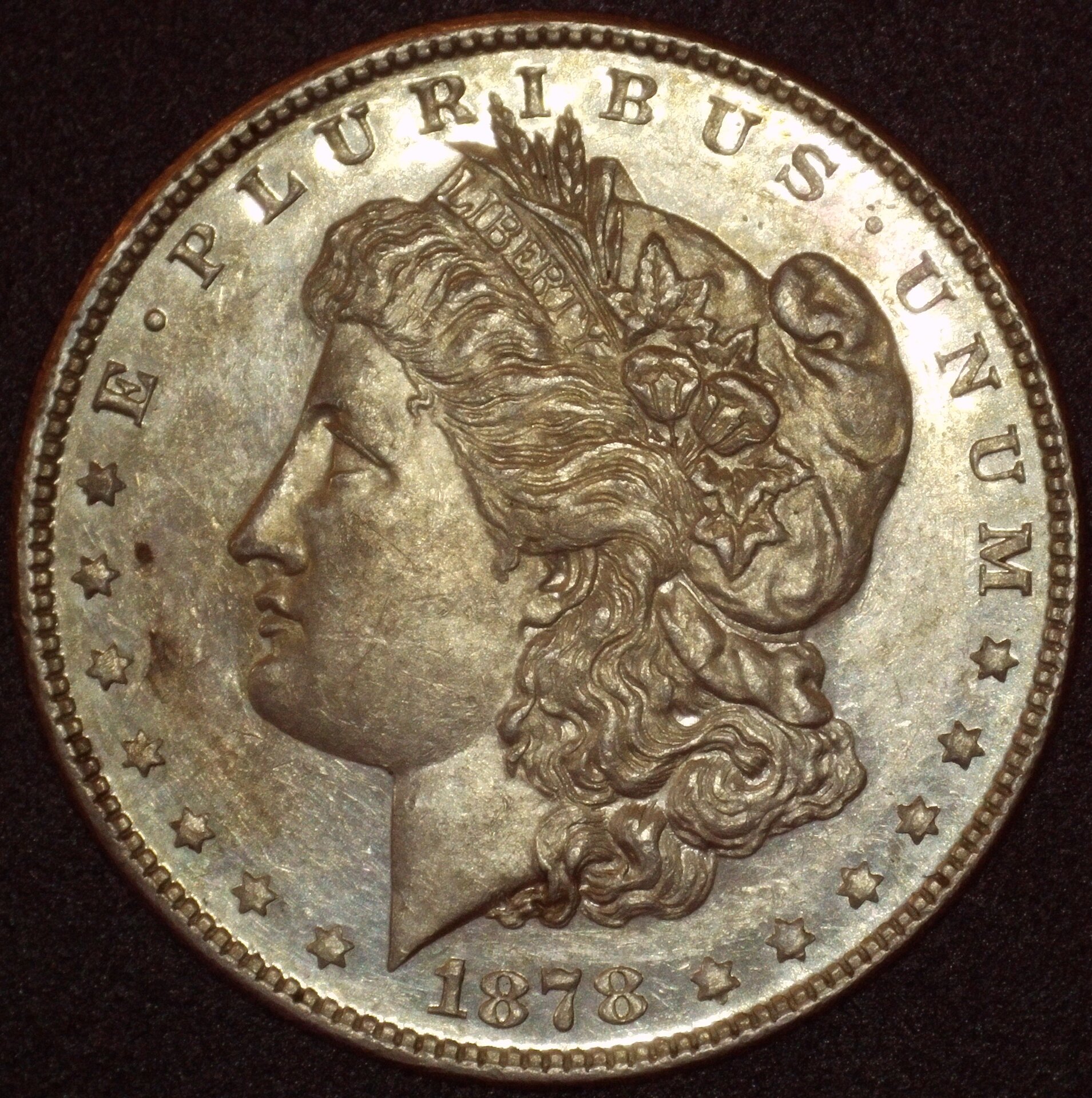 1878 (P) $1 Obv 13MP.JPG