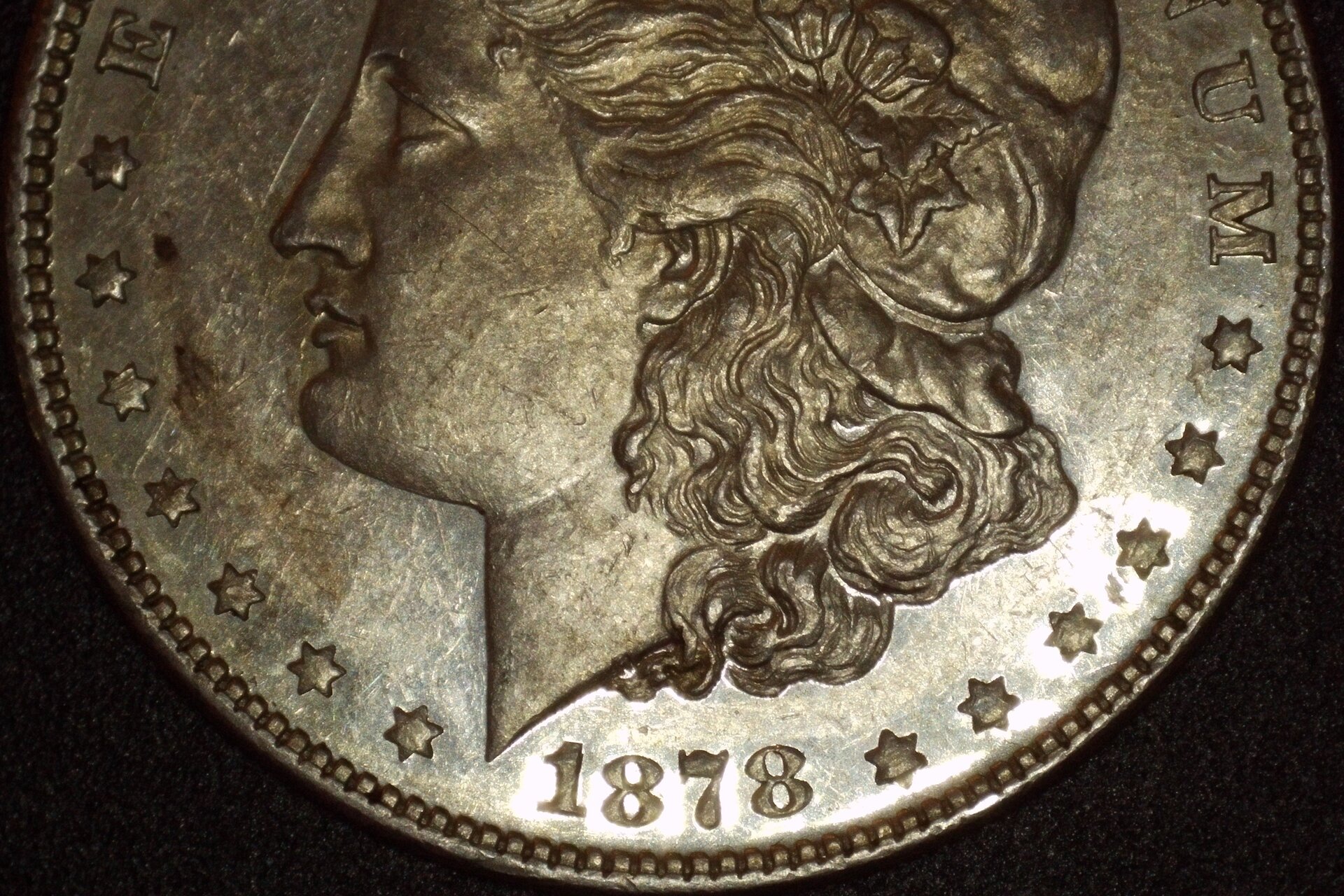 1878 (P) $1 Obv 13MP Wide Bottom.JPG