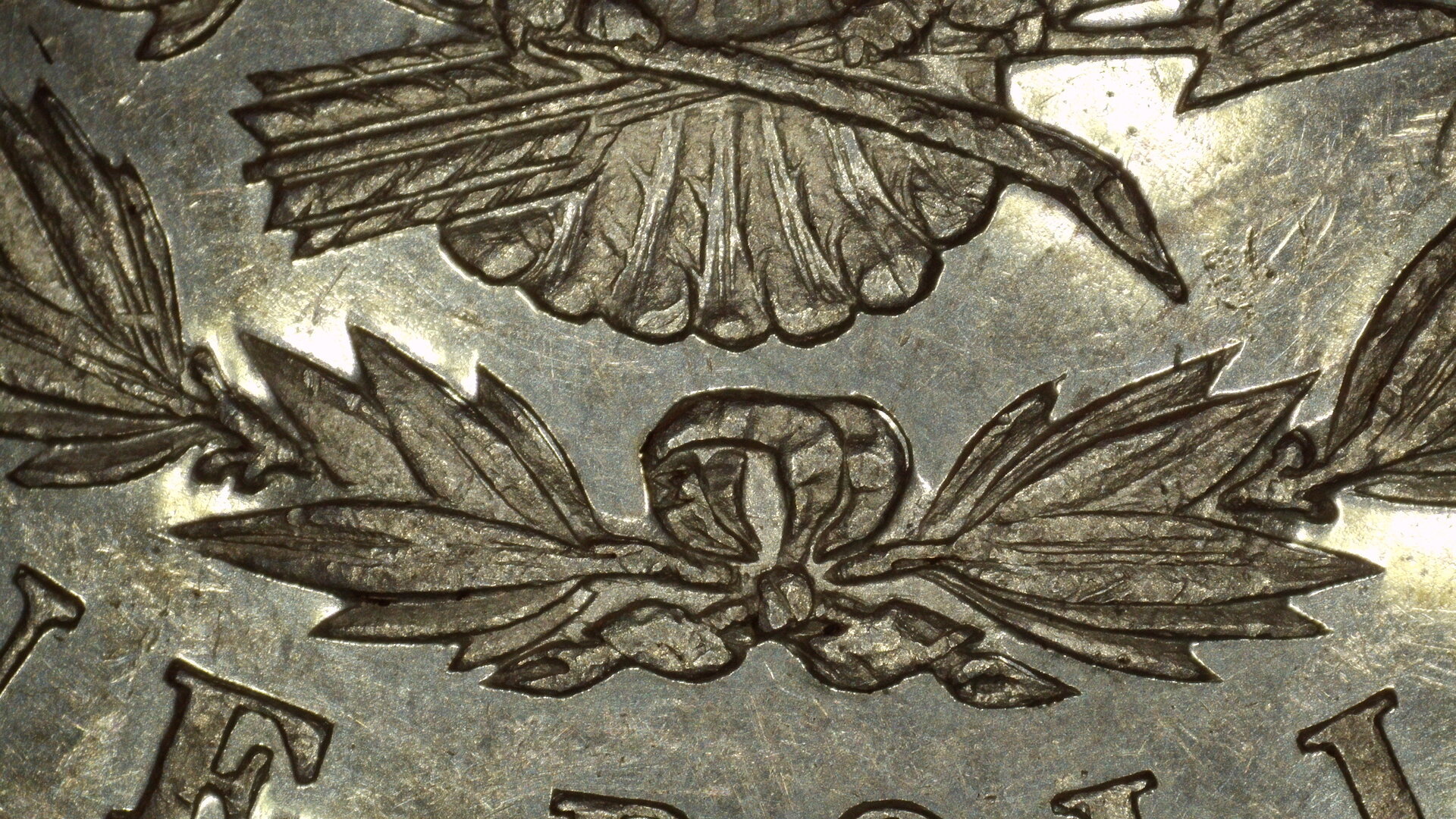 1878 (P) Feathers and Ribbon 13MP.JPG