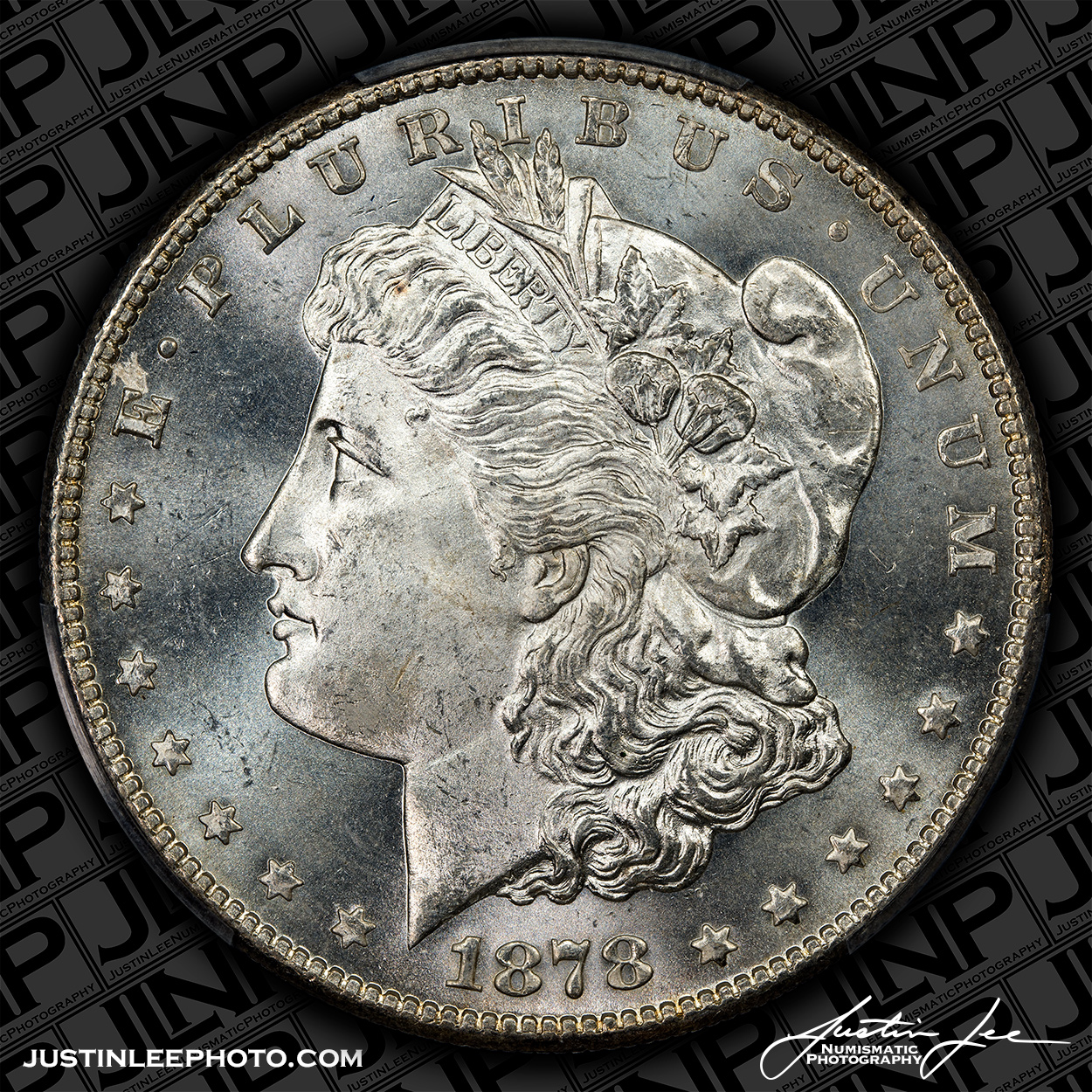 1878-S-Morgan-Dollar-Obverse-JLNP.jpg