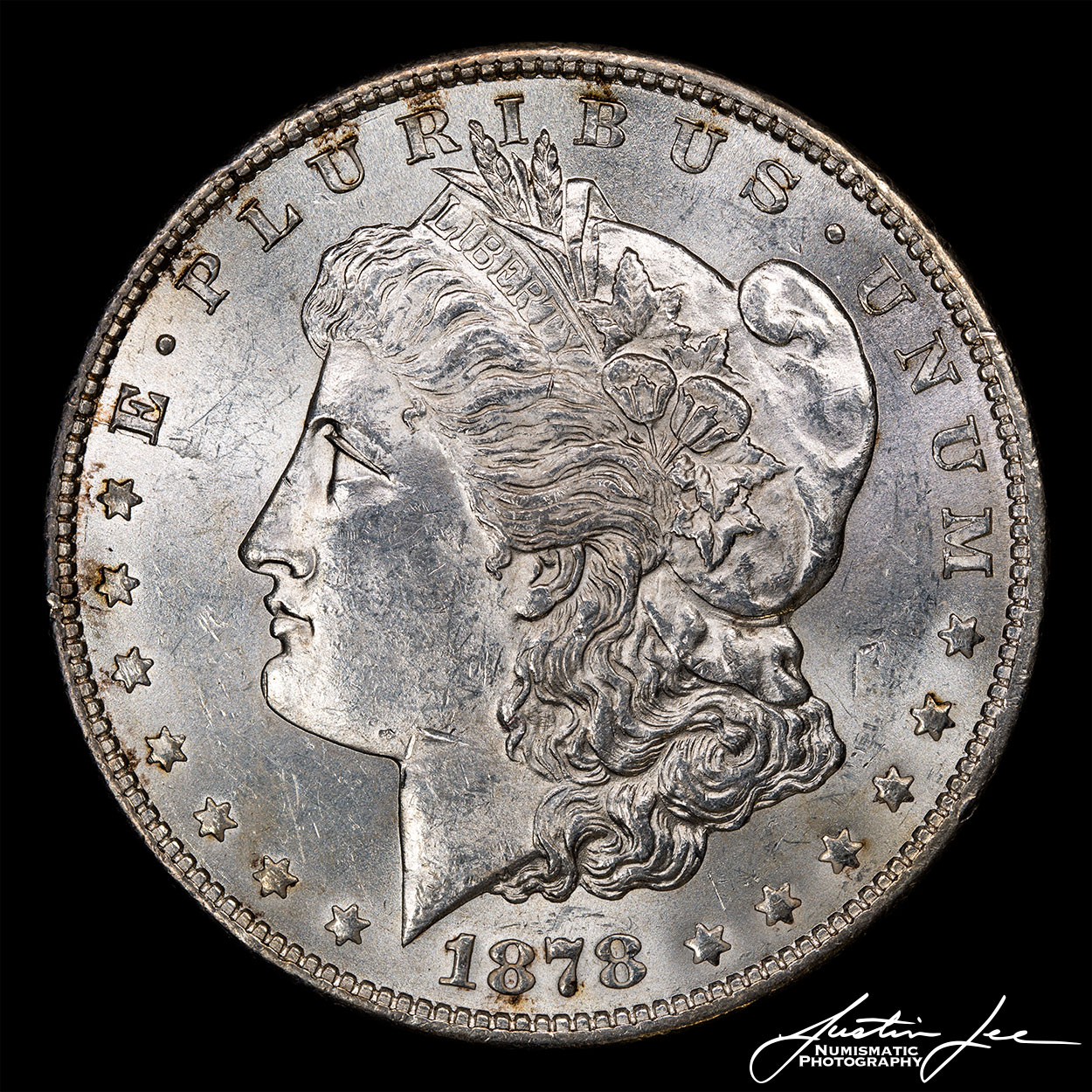 1878-S-Morgan-Dollar-Obverse.jpg