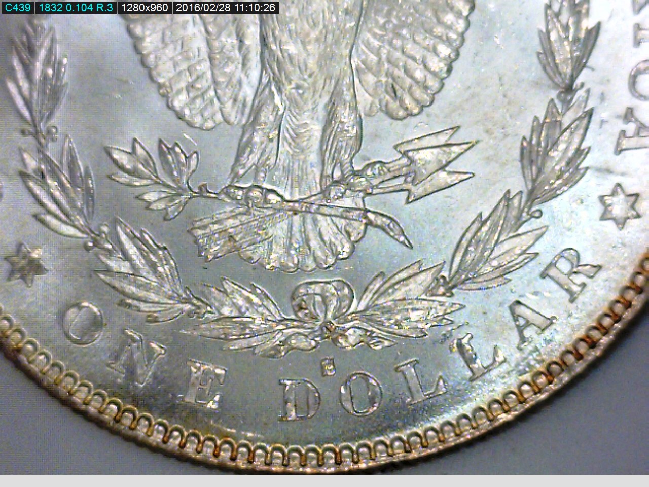 1878 S morgan lower rev.jpg