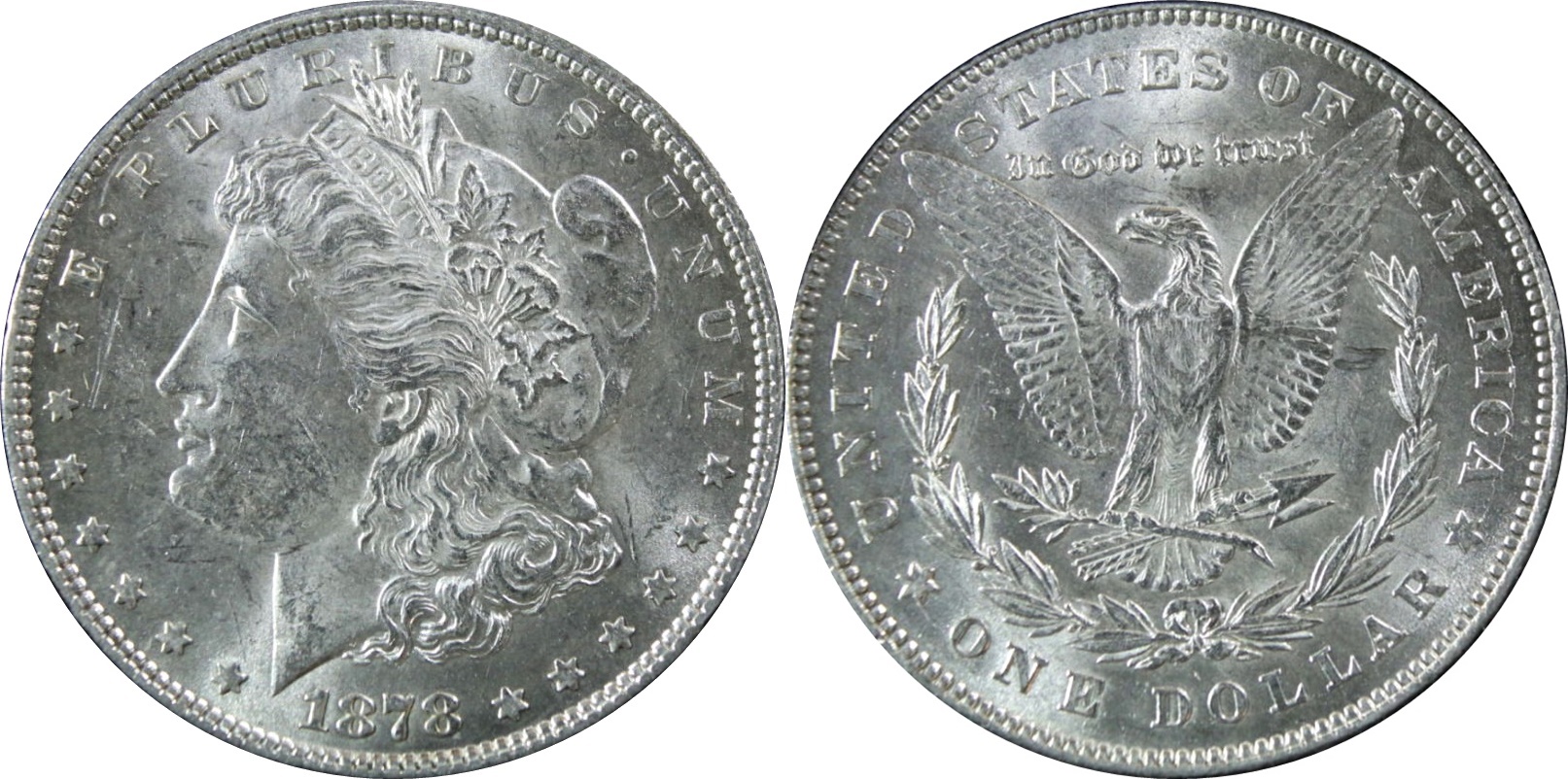 18788TF.jpg