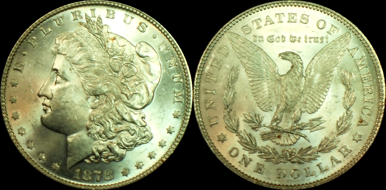 1878_P_VAM38_Fin.jpg