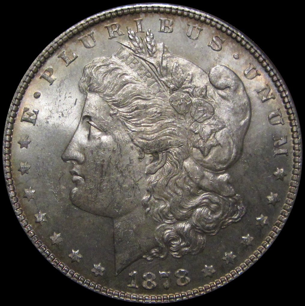 1878MorganObverse.JPG