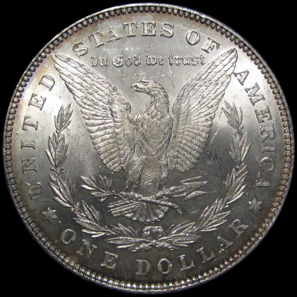 1878MorganReverse.JPG