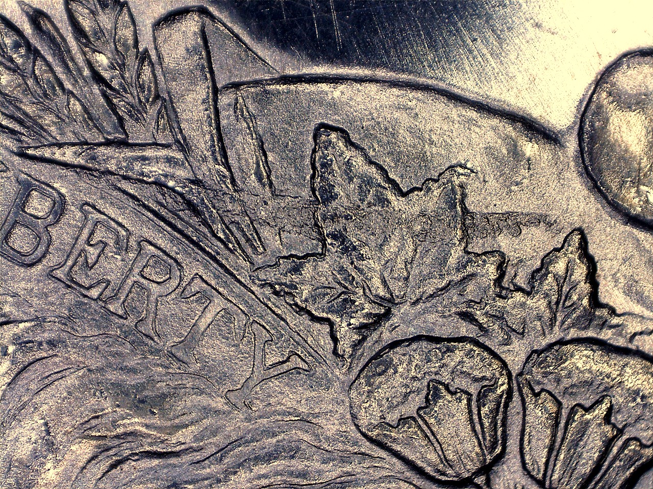 1878sgouge.jpg
