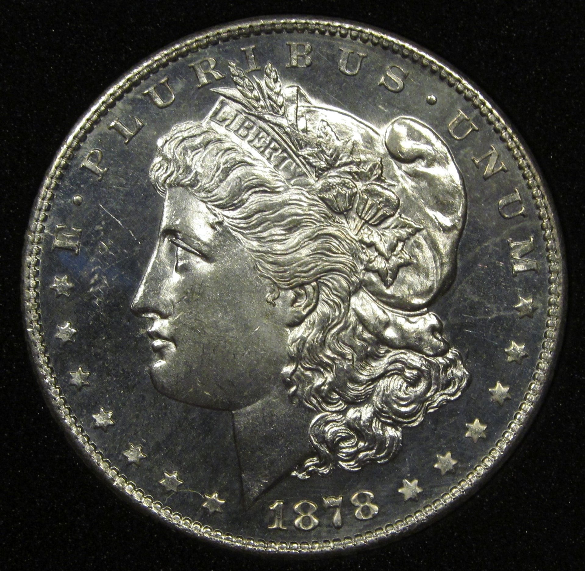 1878SV19.jpg