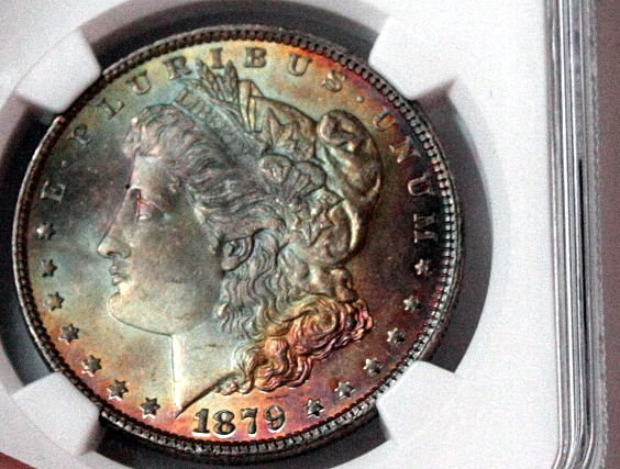 1879-P MD Ngc MS-65 Star  Closeup obv.jpg
