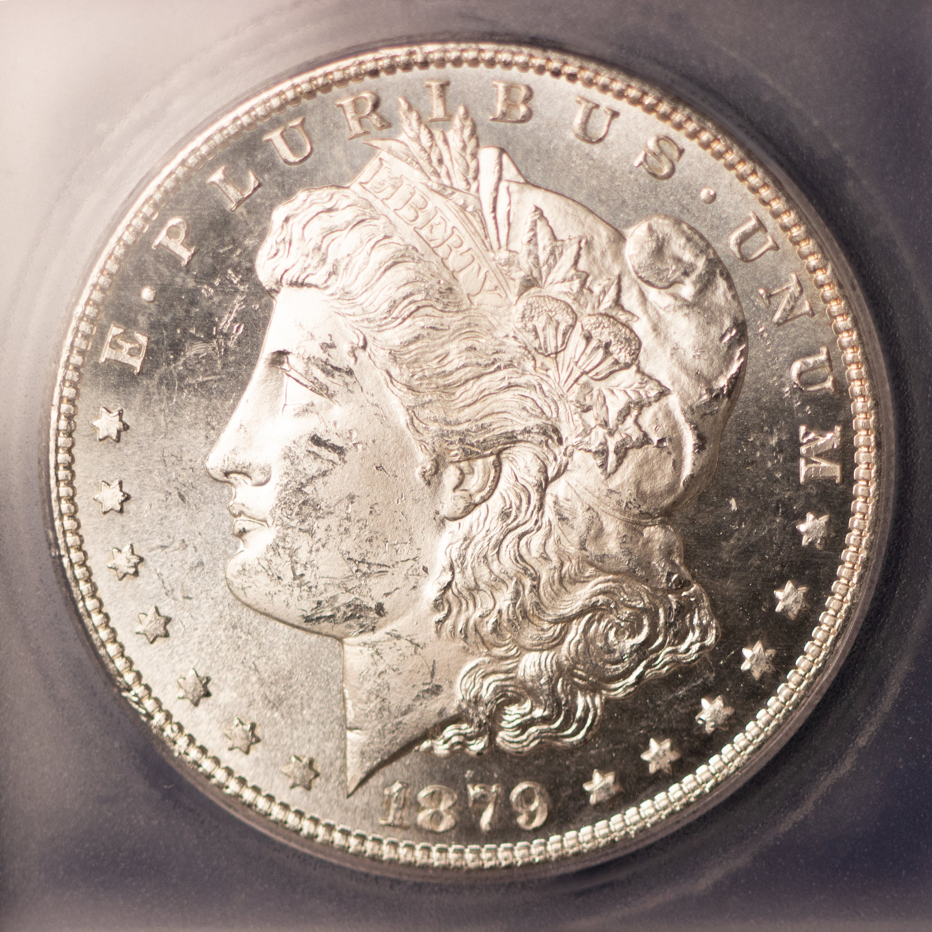 1879 S $1 Obv.jpg