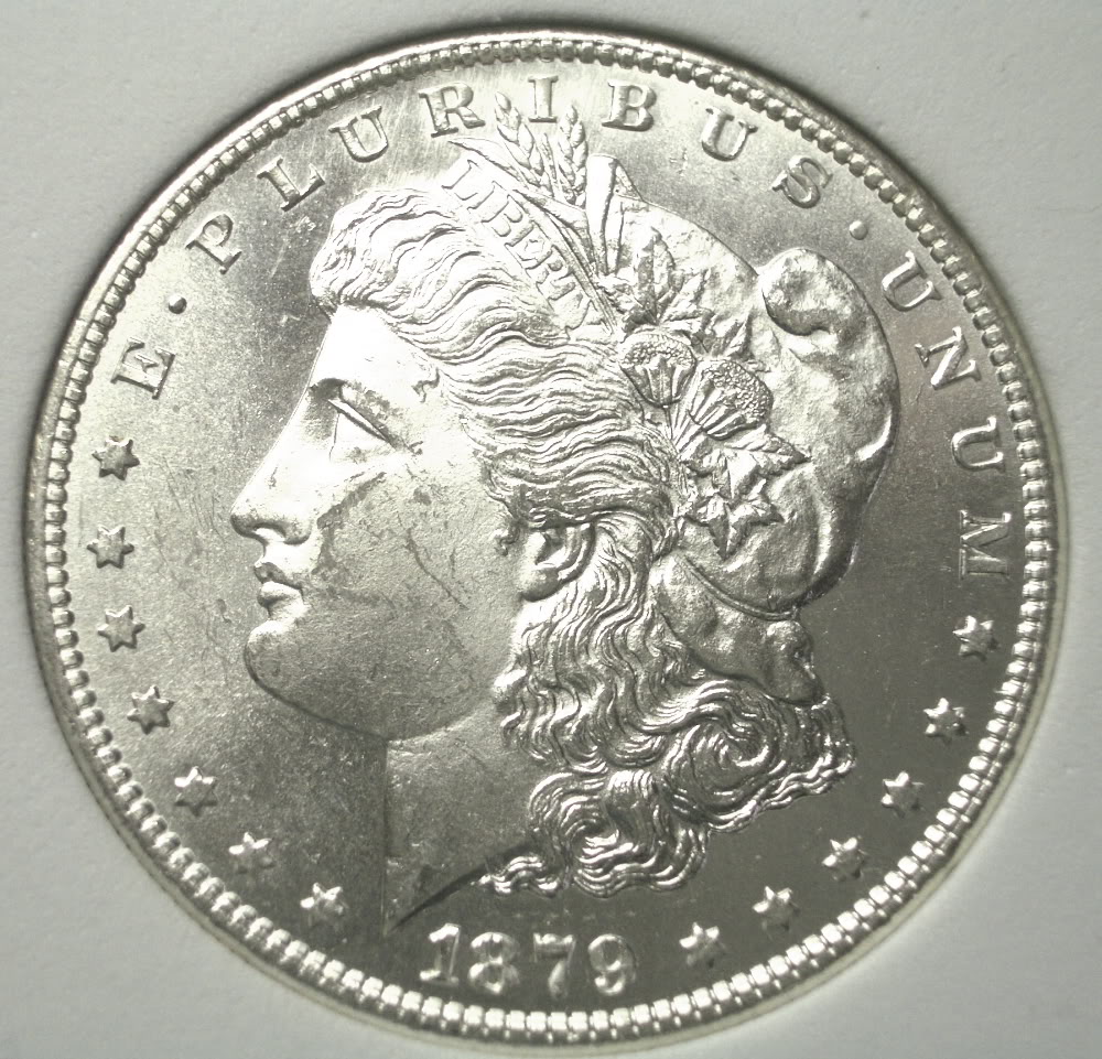 1879-SMDobv.jpg