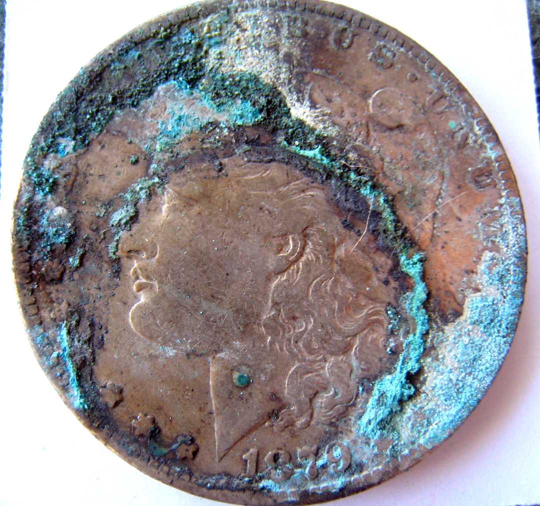 1879-SMorganObv.jpg