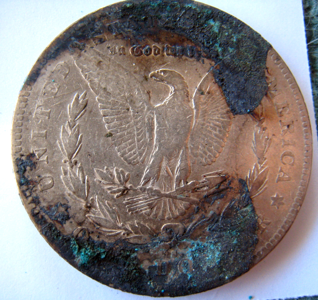 1879-SMorganRev.jpg