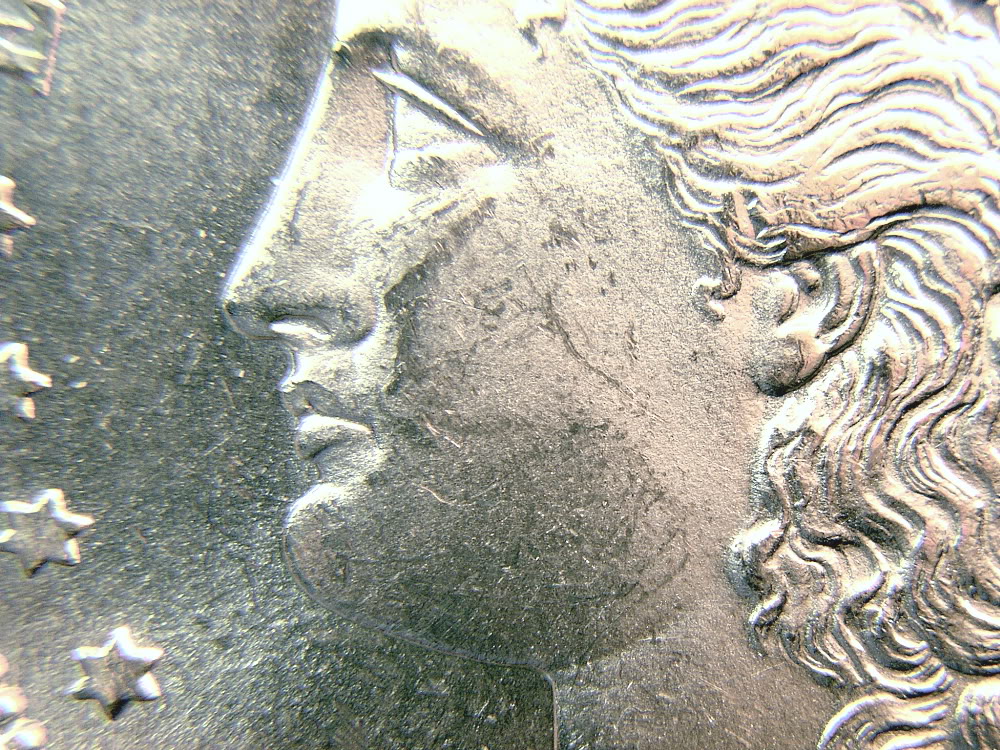 1879-SPLcheek.jpg