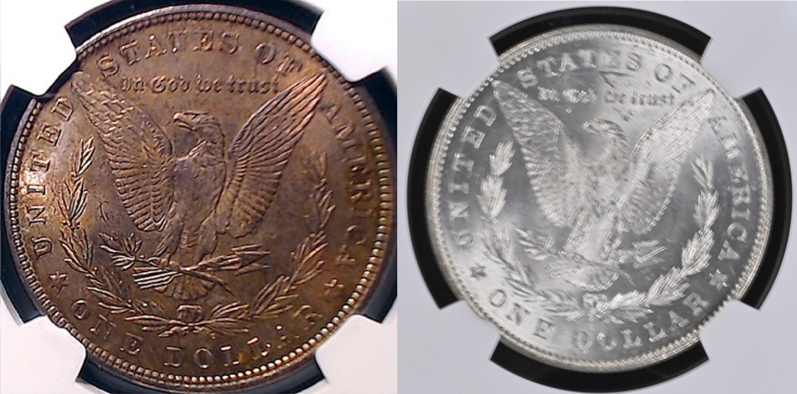 1879_rev_combp.jpg