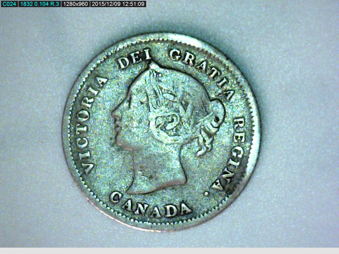 1880 Canadian obv..jpg