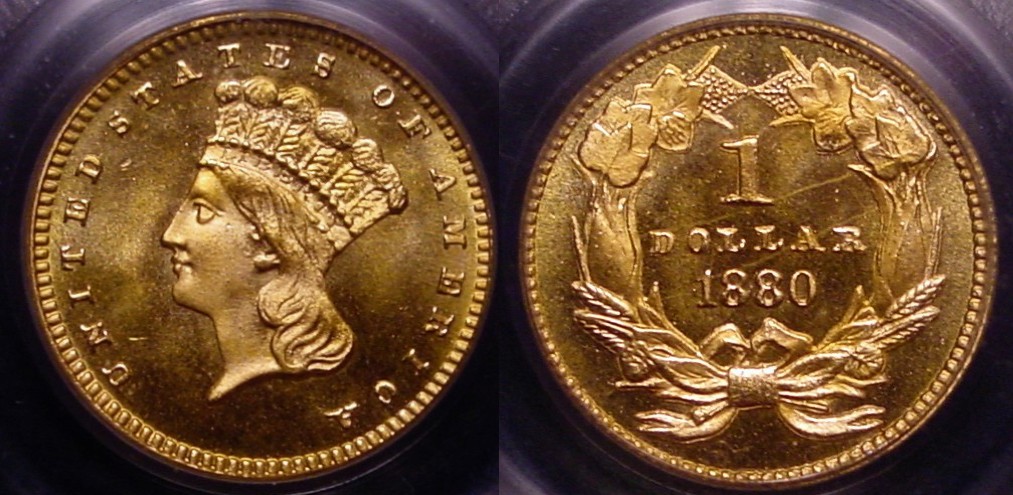1880 Gold Dollar All.jpg