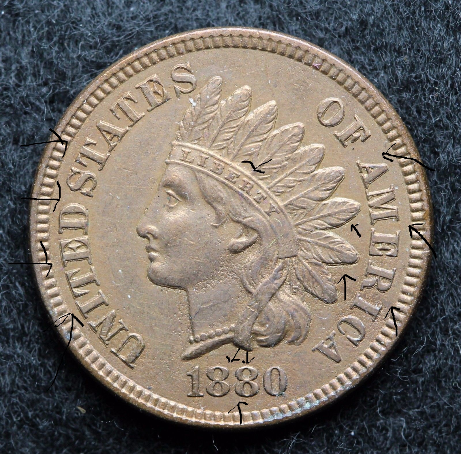 1880  indian head -DDO  coin talk.jpg