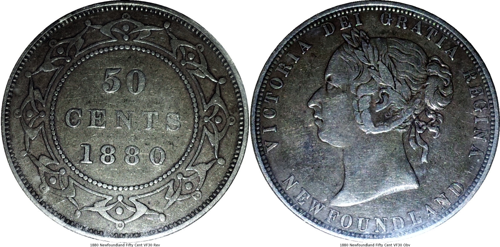 1880 Newfoundland Fifty Cent VF30 -tile.jpg