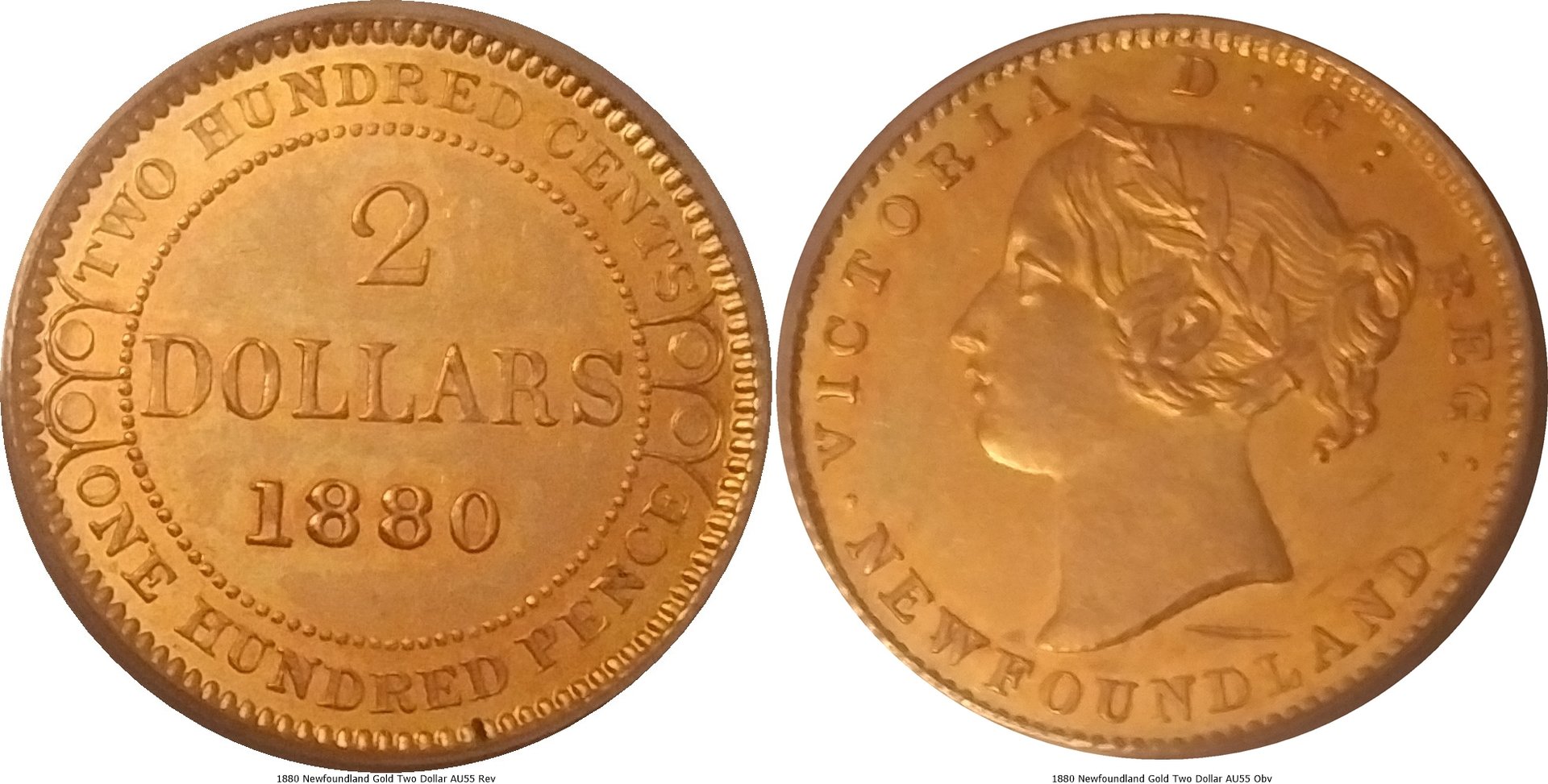 1880 Newfoundland Gold Two Dollar AU55 -tile.jpg