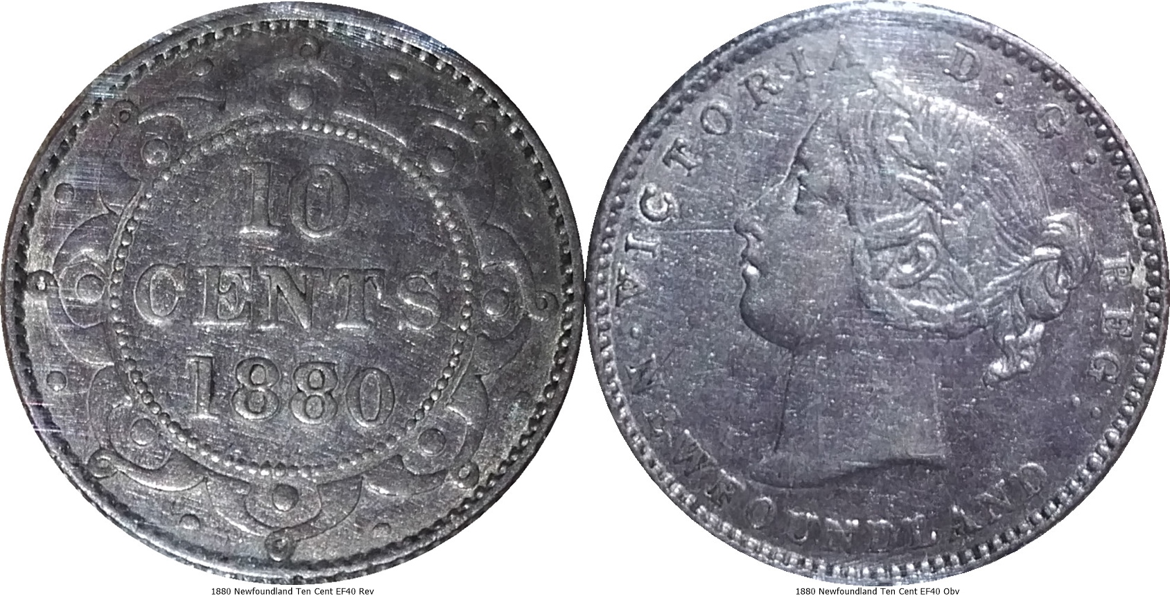 1880 Newfoundland Ten Cent EF40 -tile.jpg