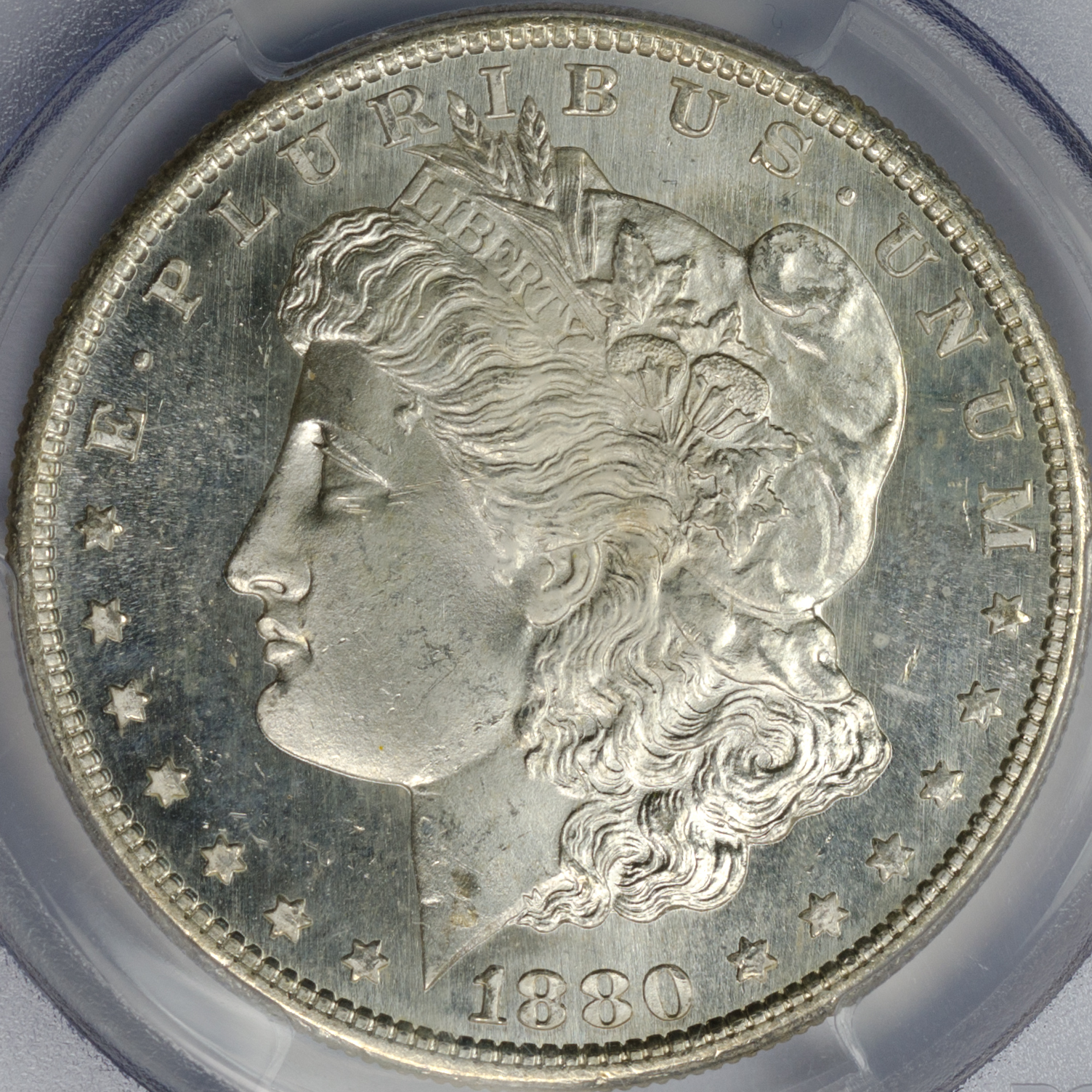 1880-S S$1 Obv closeup MS66 CAC matt.jpg