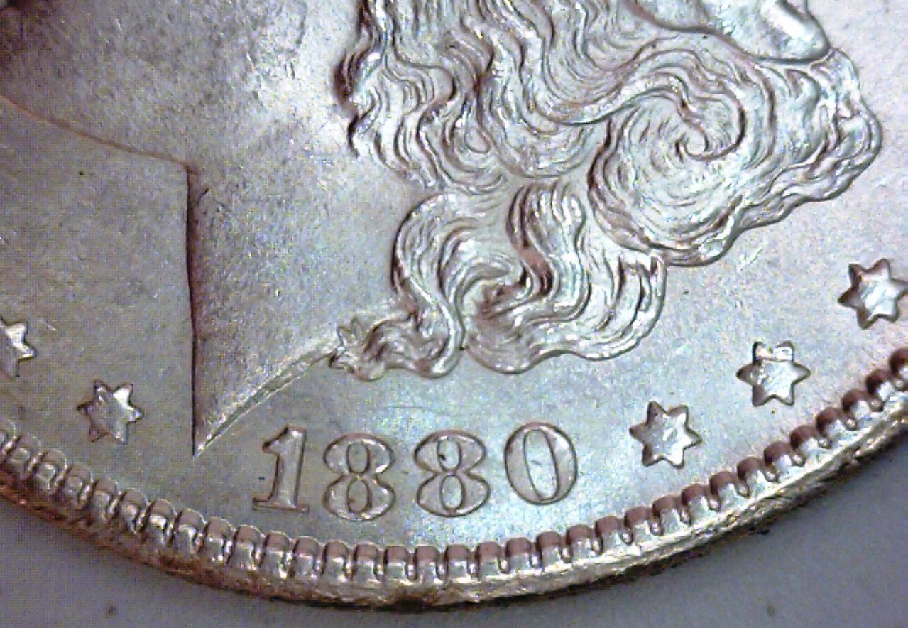 1880 S S Morgan date 1-crop.jpg