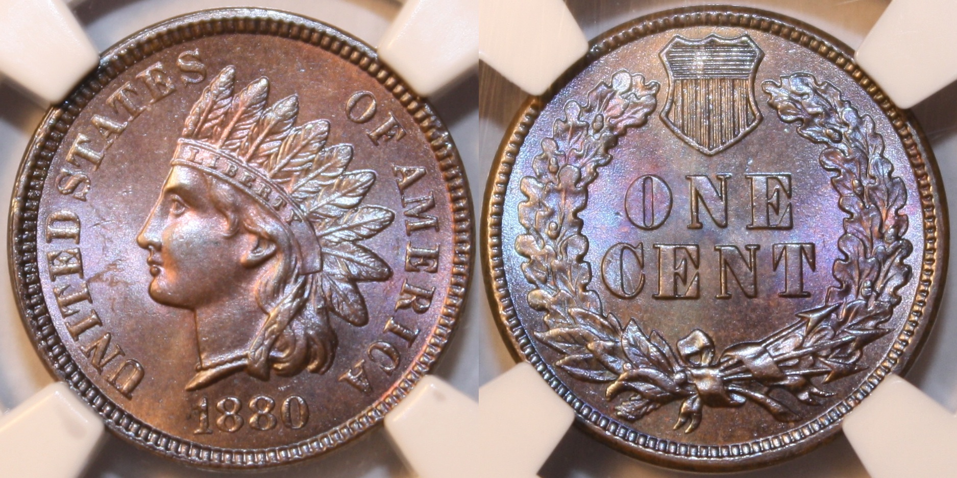 1880_3.jpg