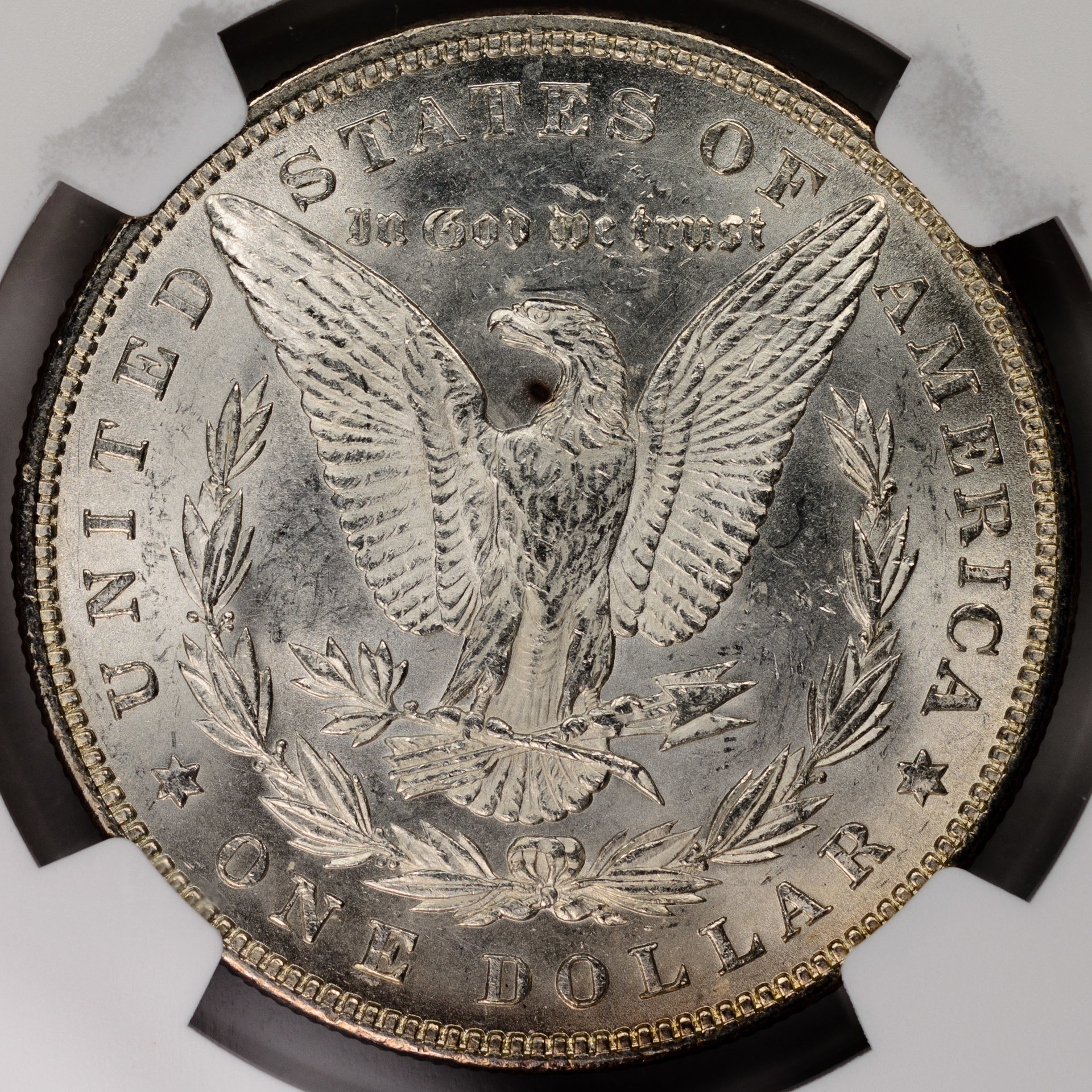 1881 $1 MS62 closeup - Copy (1).jpg