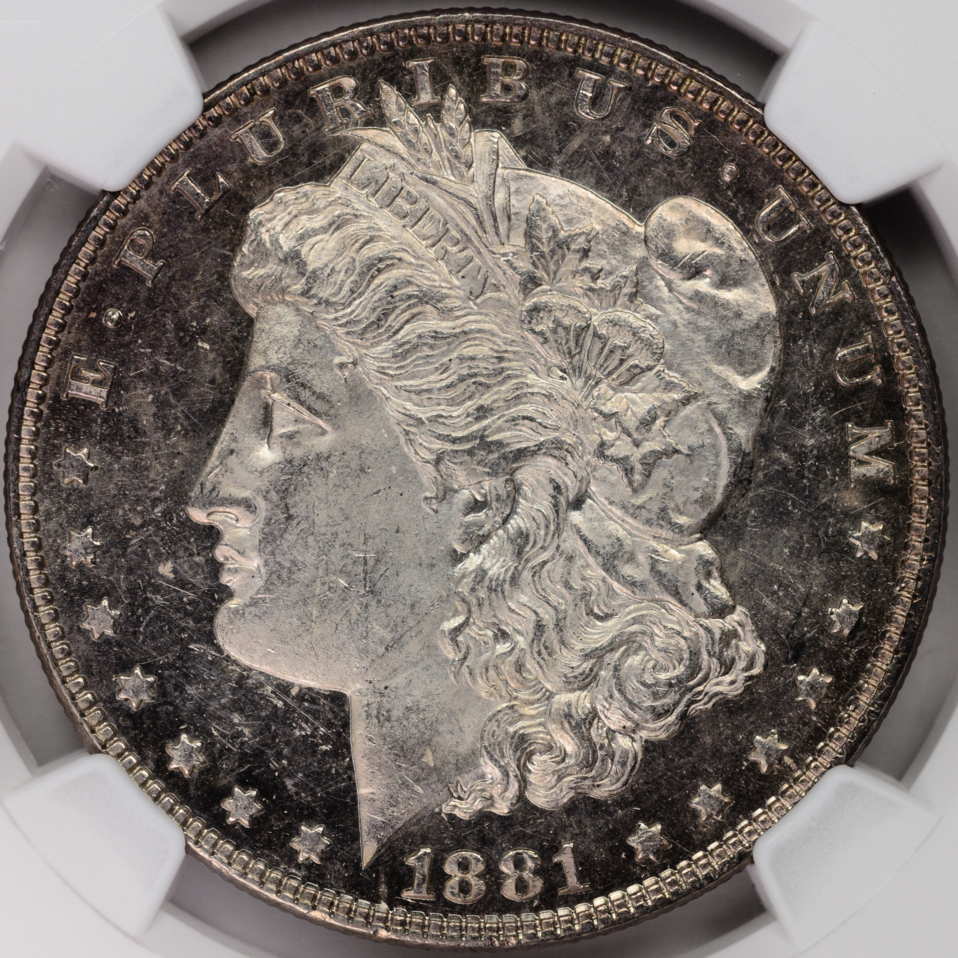 1881 $1 MS62 closeup - Copy (2).jpg