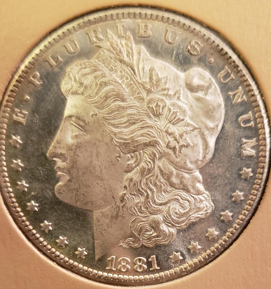 1881 CC Morgan Dollar obv.jpg