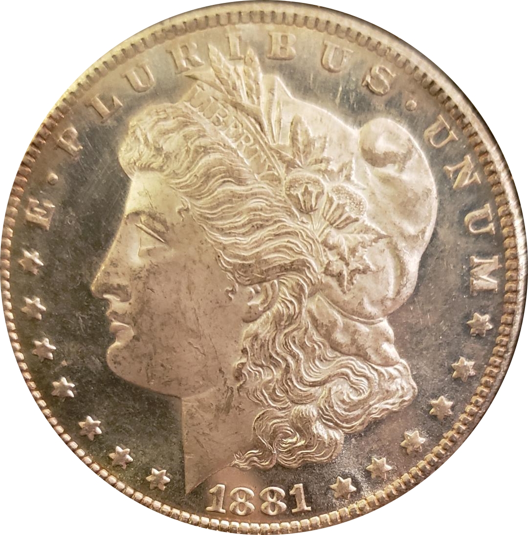 1881 CC Morgan Dollar obv.jpg