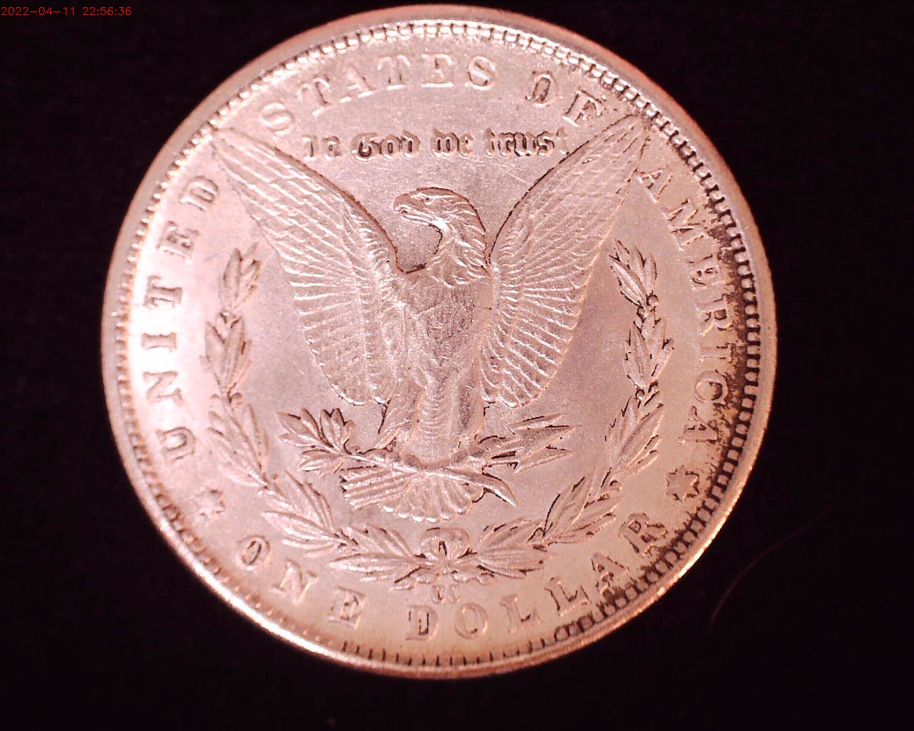 1881-CC rev.jpg