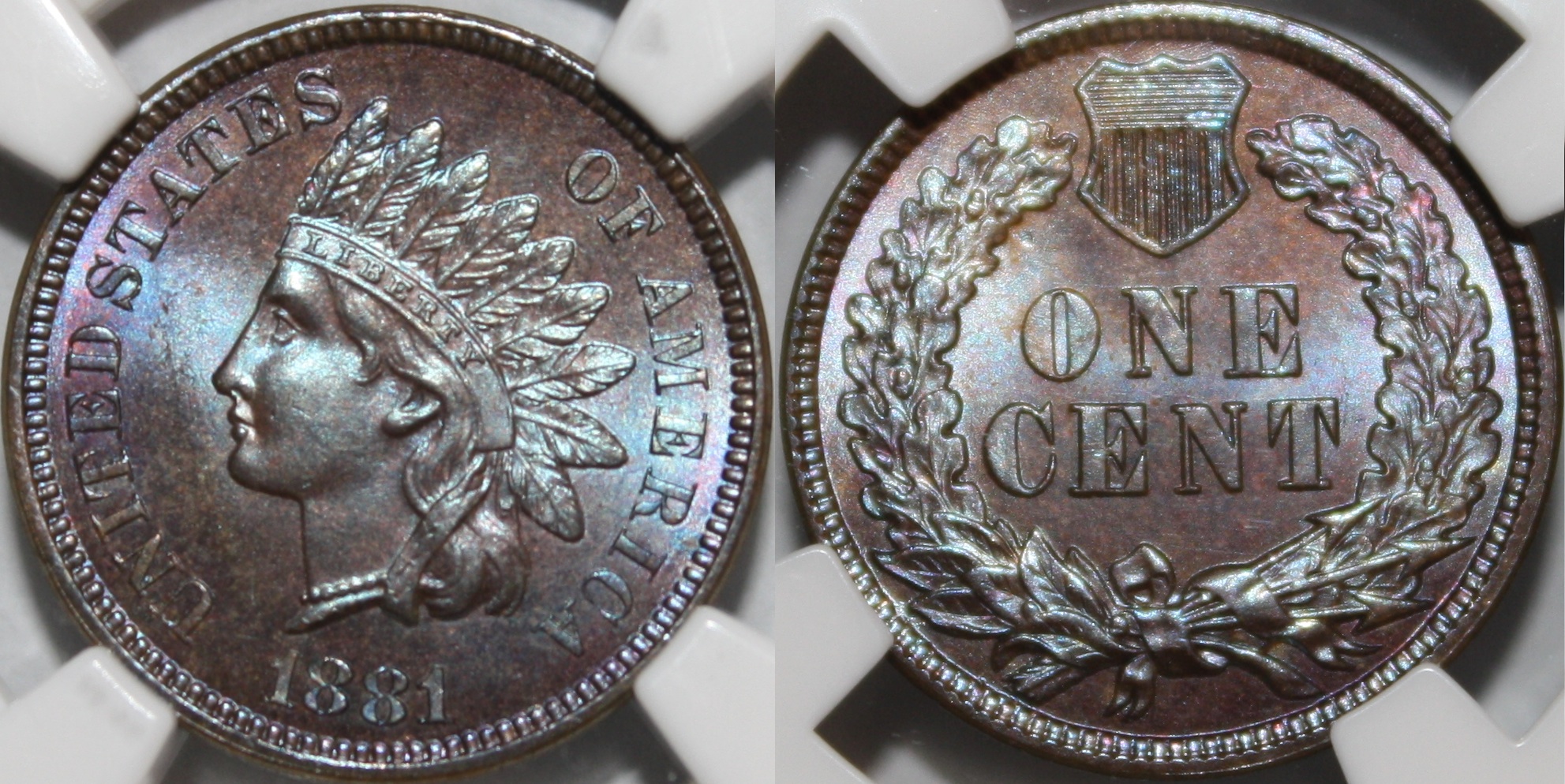 1881.jpg