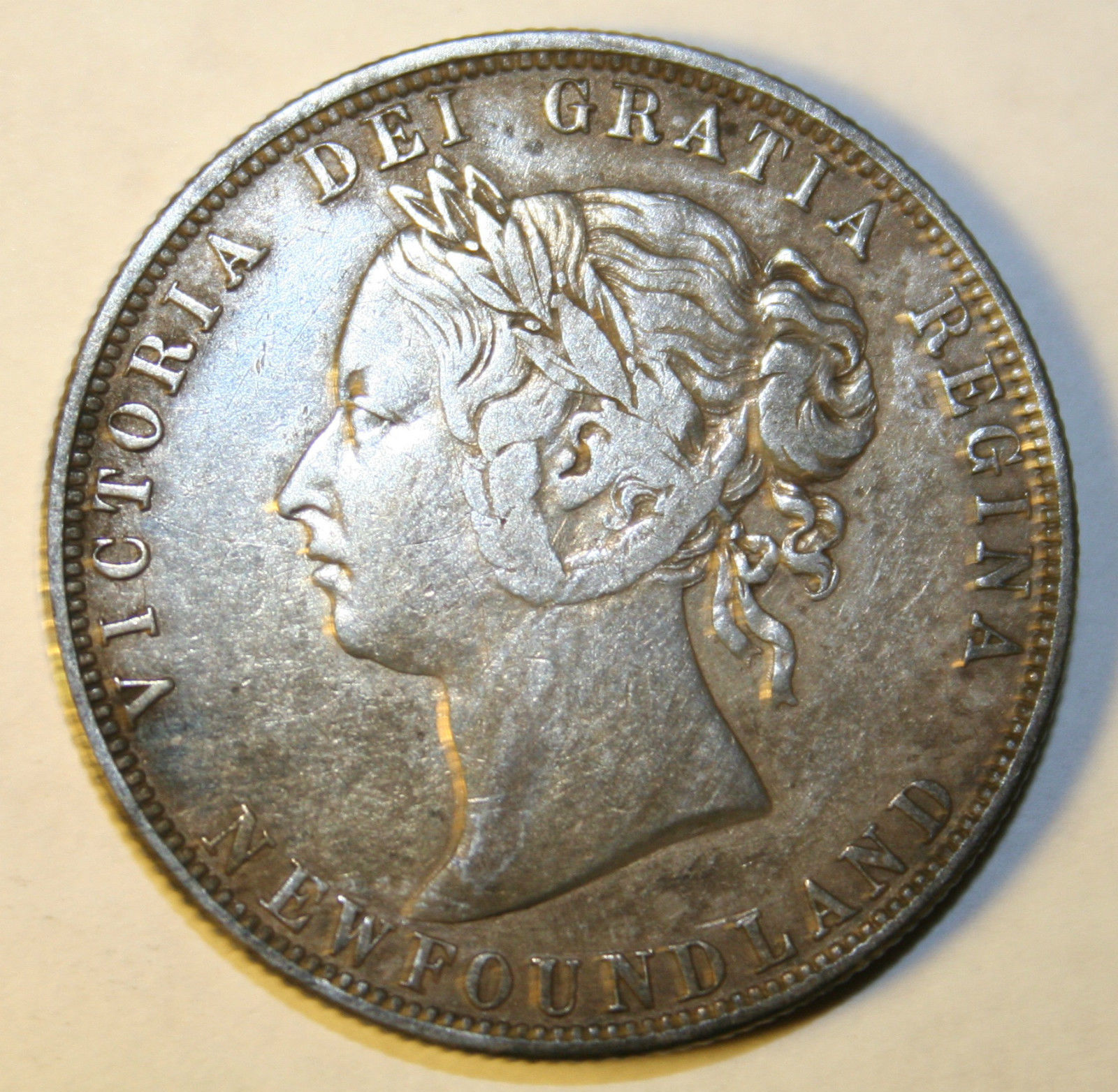 1881 Newfoundland 50 cent.JPG
