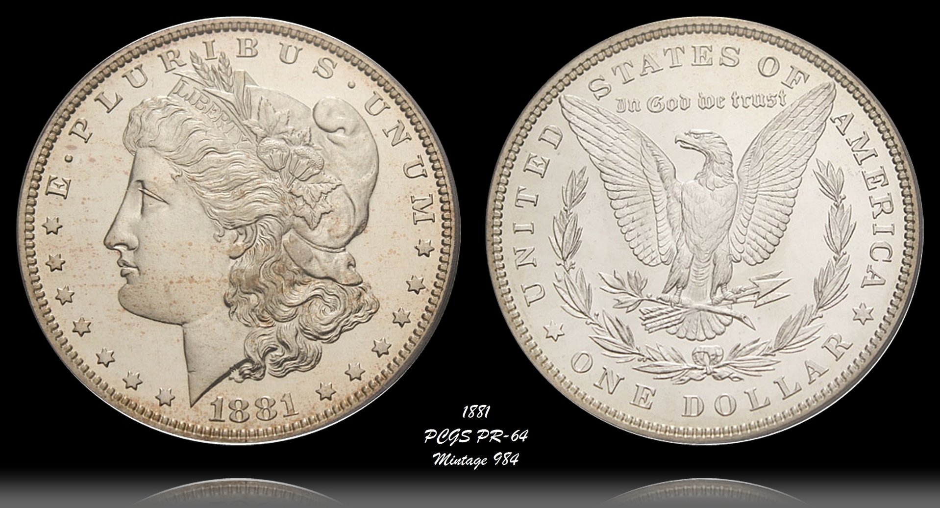 1881 PR-64 Morgan obv-horz.jpg