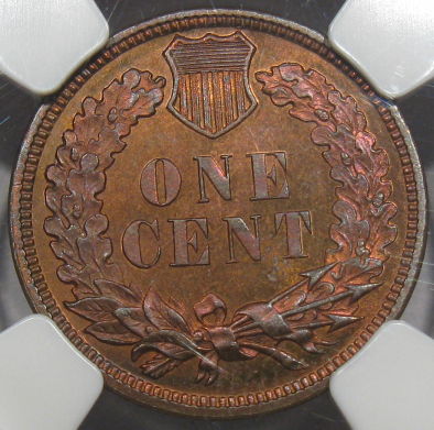 1881 rev_opt.jpg