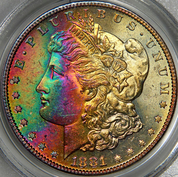 1881-S Envy - 1a.jpg