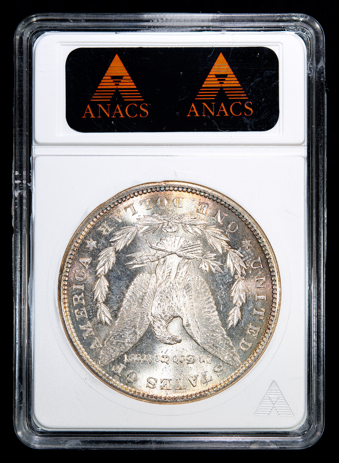 1881-S-Morgan-Dollar-ANACS-MS65-Slab-Shot-back.jpg