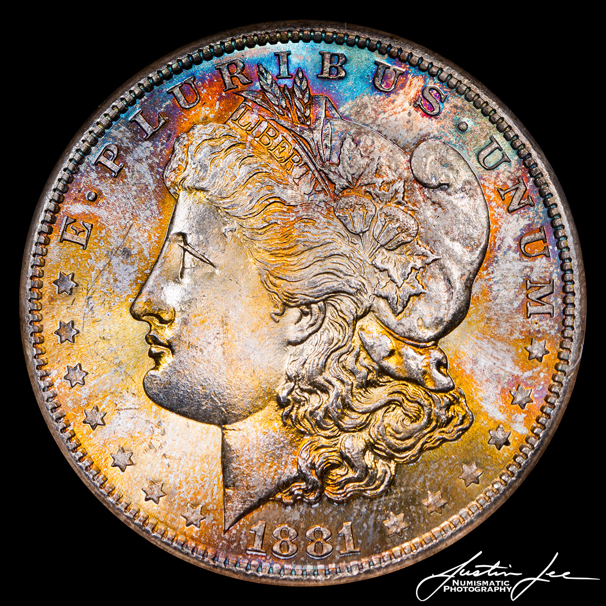 1881-S-Morgan-Dollar-ANACS-Obverse.jpg