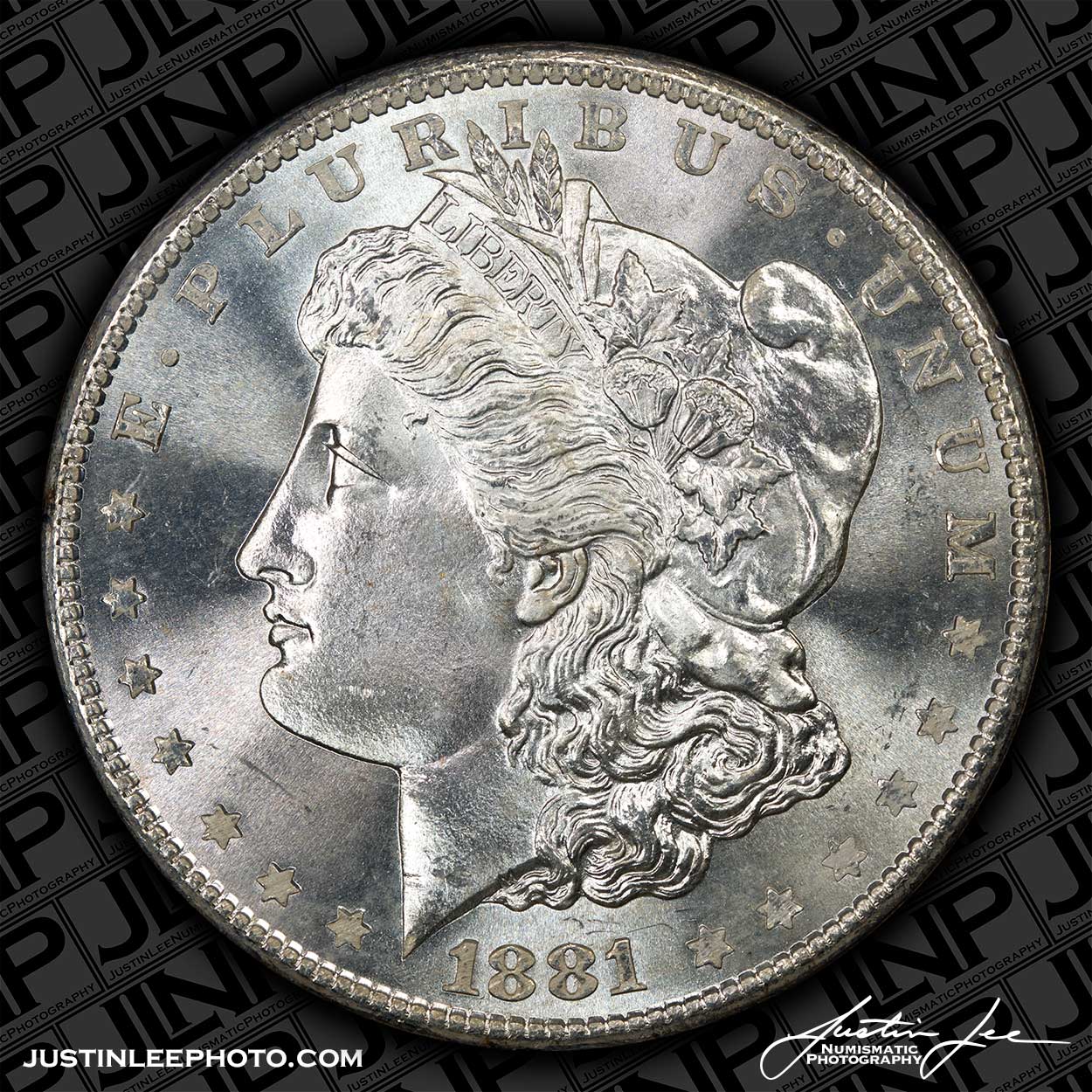 1881-S-Morgan-Dollar-Obverse-JLNP.jpg