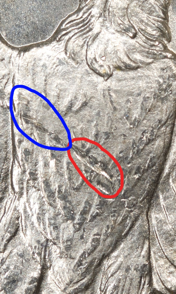 1881-S-Morgan-Dollar-Reverse-Detail.jpg