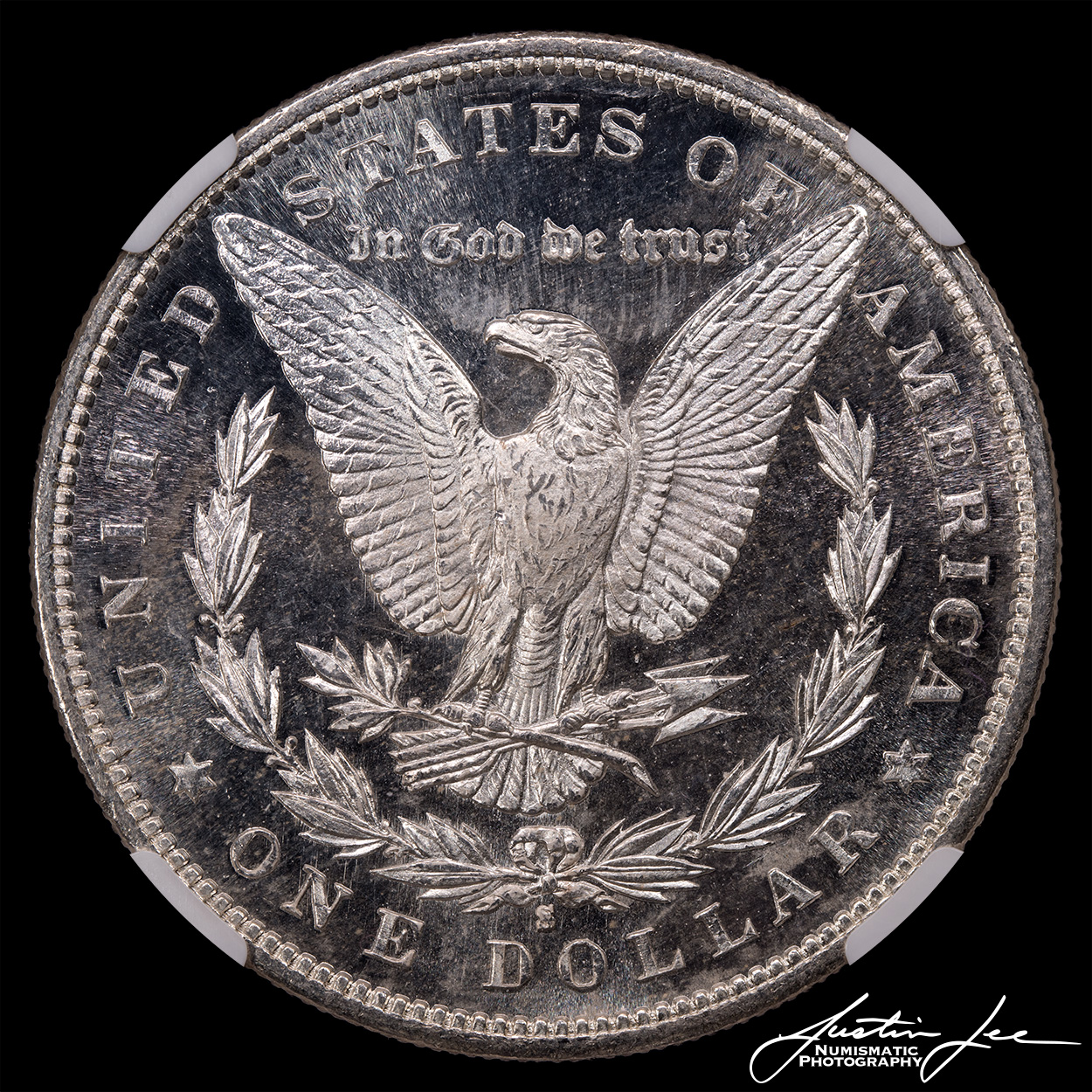 1881-S-Morgan-Dollar-Reverse.jpg