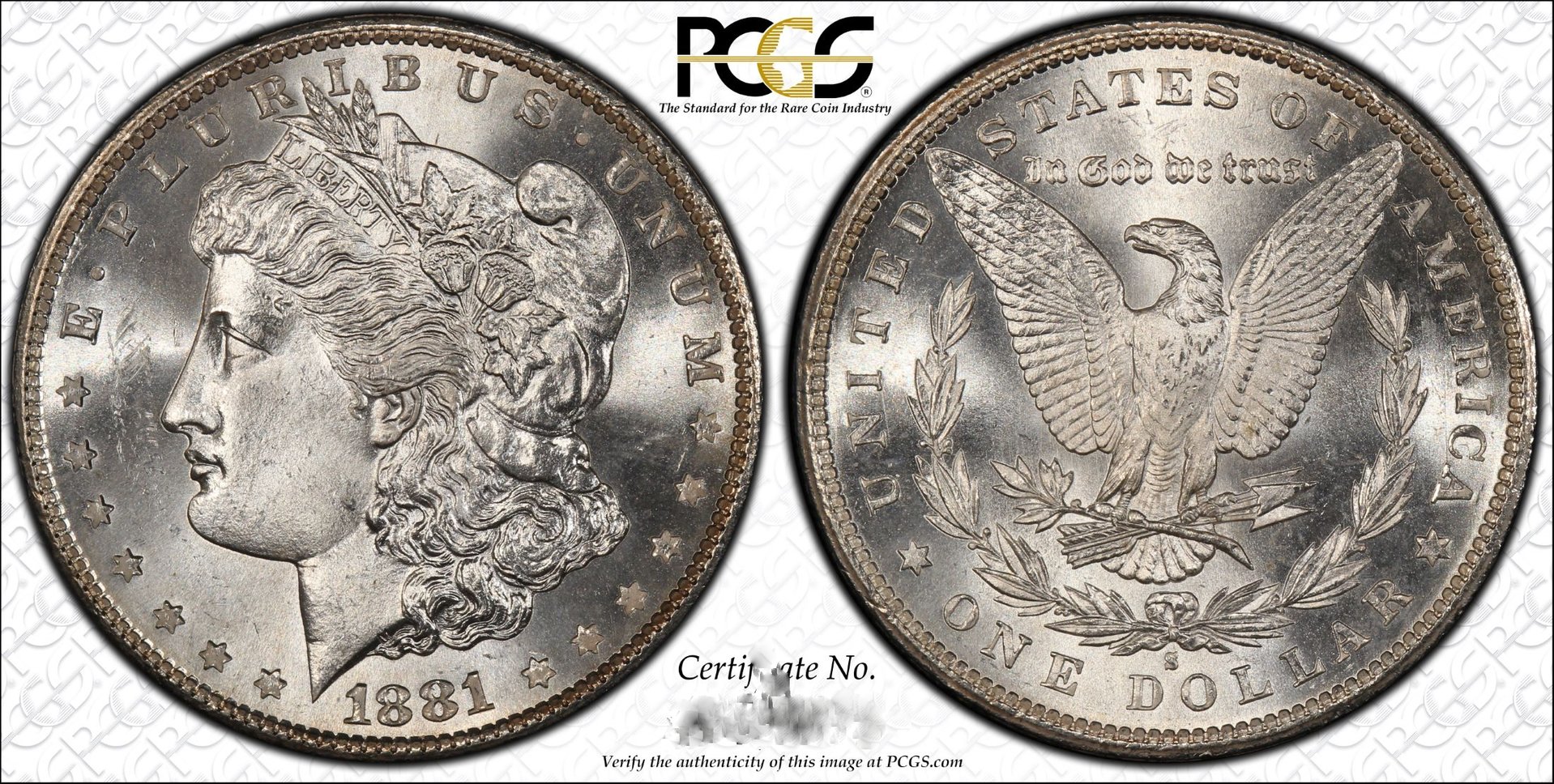 1881 S Morgan.jpg